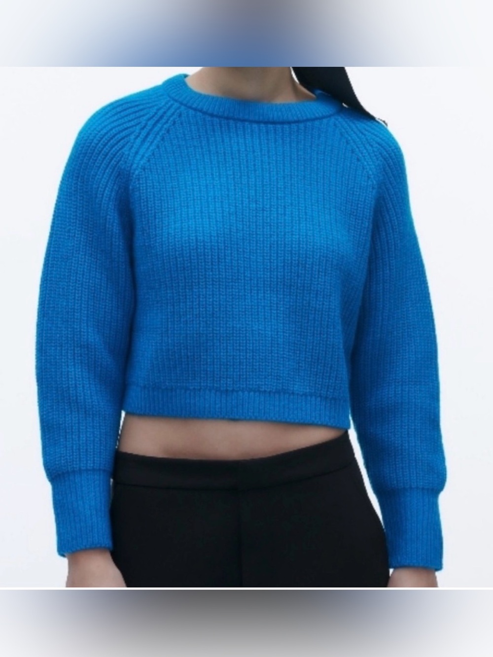Zara Knit Cropped Sweater